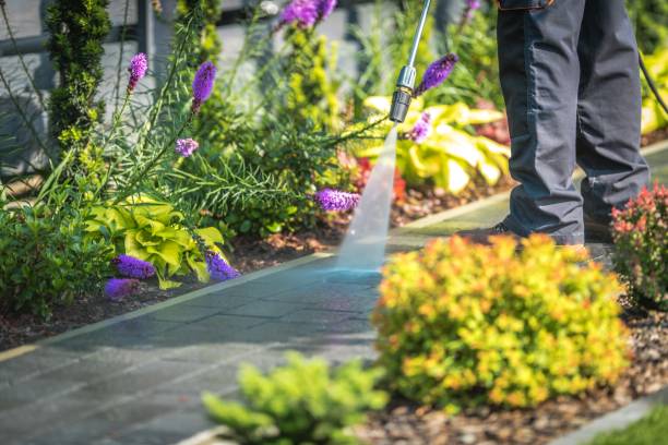 Spring Cleaning in Mount Holly Springs, PA