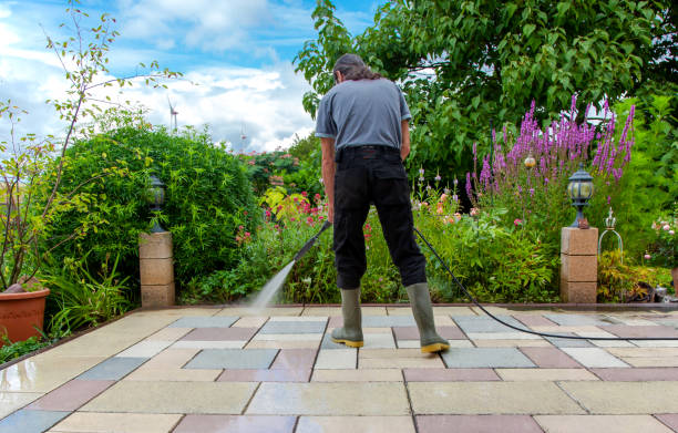 Best Animal Enclosure Cleaning  in Mount Holly Springs, PA